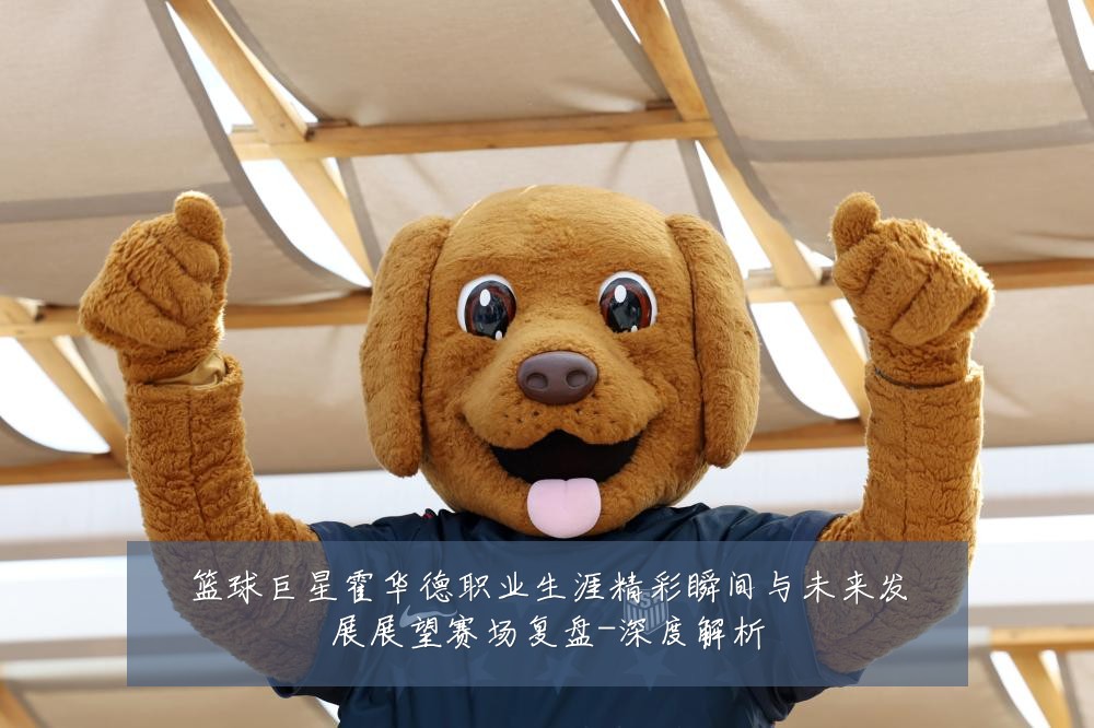 篮球巨星霍华德职业生涯精彩瞬间与未来发展展望赛场复盘-深度解析
